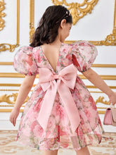 Young Girl Chiffon Ditsy Floral Puff Sleeve Fitted Dress